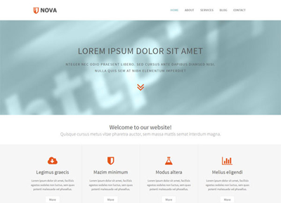 功能完善先进的手机号接收平台